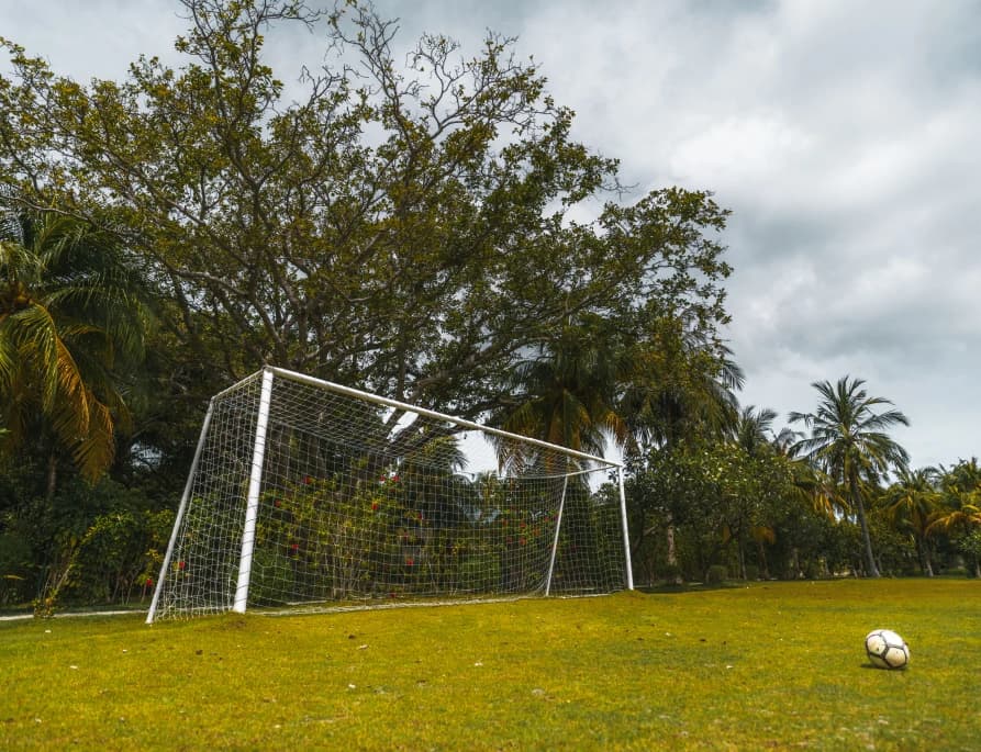 Fútbol